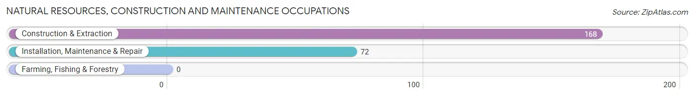 Natural Resources, Construction and Maintenance Occupations in Zip Code 44065