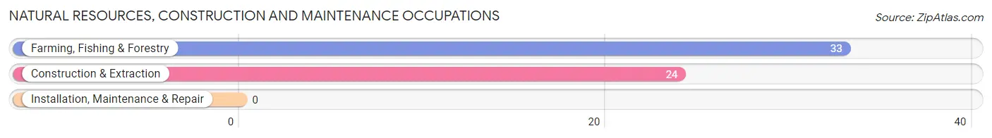 Natural Resources, Construction and Maintenance Occupations in Zip Code 44115