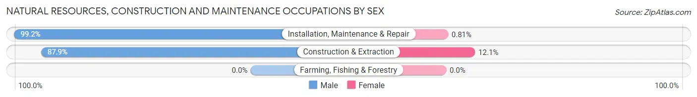 Natural Resources, Construction and Maintenance Occupations by Sex in Zip Code 44224