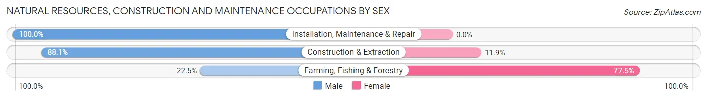 Natural Resources, Construction and Maintenance Occupations by Sex in Zip Code 44240