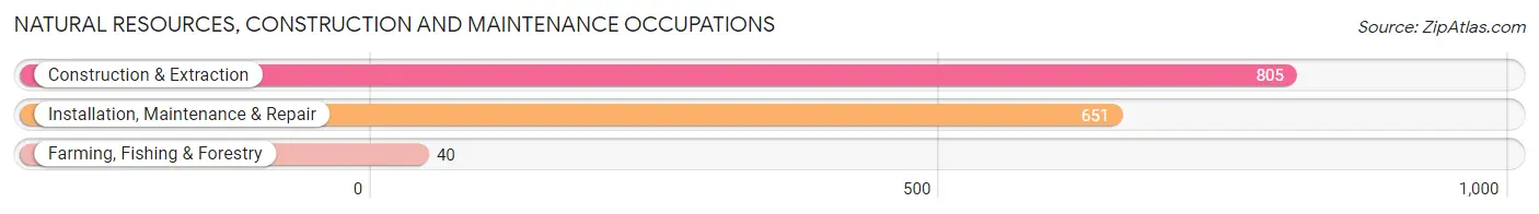 Natural Resources, Construction and Maintenance Occupations in Zip Code 44240