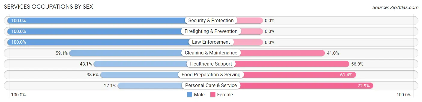 Services Occupations by Sex in Zip Code 44333