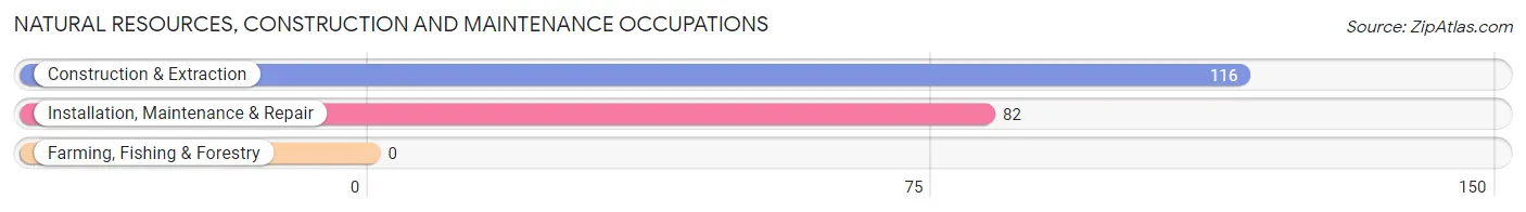 Natural Resources, Construction and Maintenance Occupations in Zip Code 44401