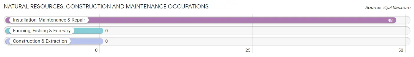 Natural Resources, Construction and Maintenance Occupations in Zip Code 44454