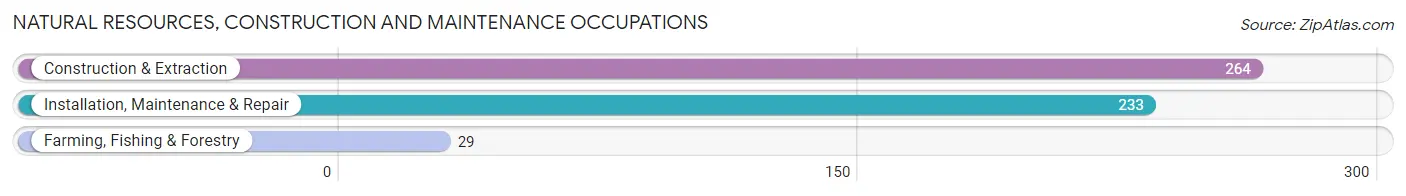 Natural Resources, Construction and Maintenance Occupations in Zip Code 44481