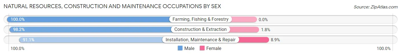 Natural Resources, Construction and Maintenance Occupations by Sex in Zip Code 44663