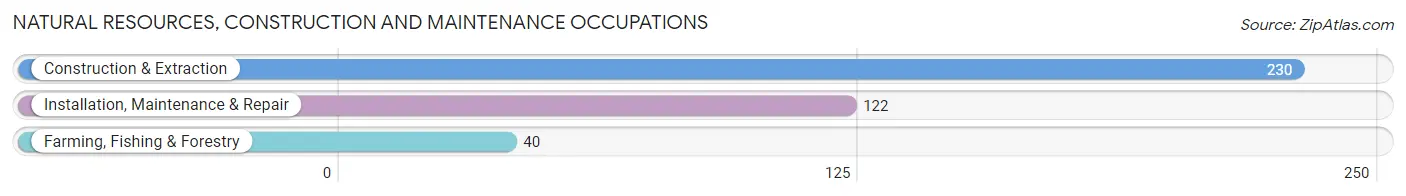 Natural Resources, Construction and Maintenance Occupations in Zip Code 44676