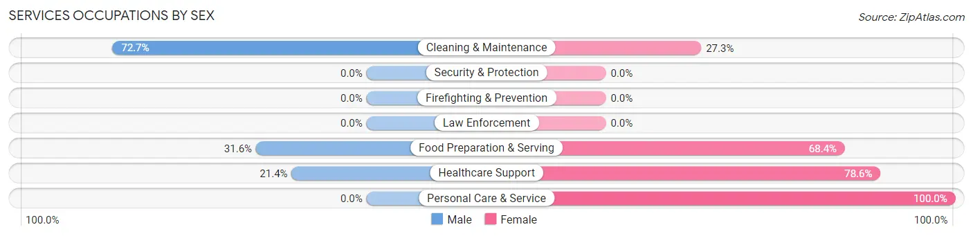 Services Occupations by Sex in Zip Code 44704