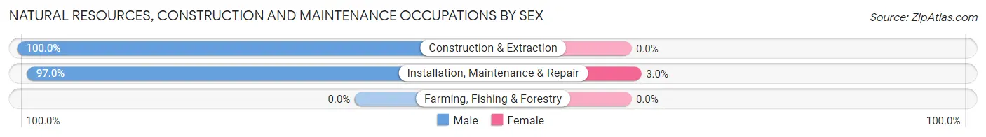 Natural Resources, Construction and Maintenance Occupations by Sex in Zip Code 44706