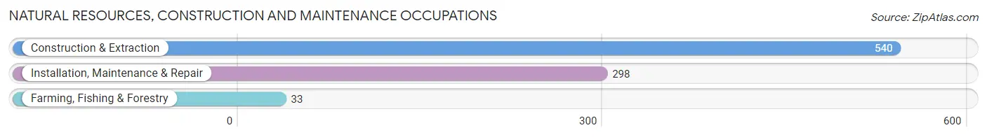 Natural Resources, Construction and Maintenance Occupations in Zip Code 44708