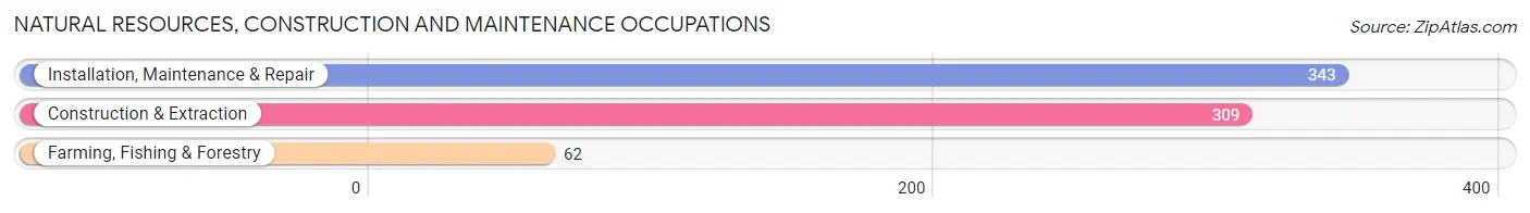 Natural Resources, Construction and Maintenance Occupations in Zip Code 44811