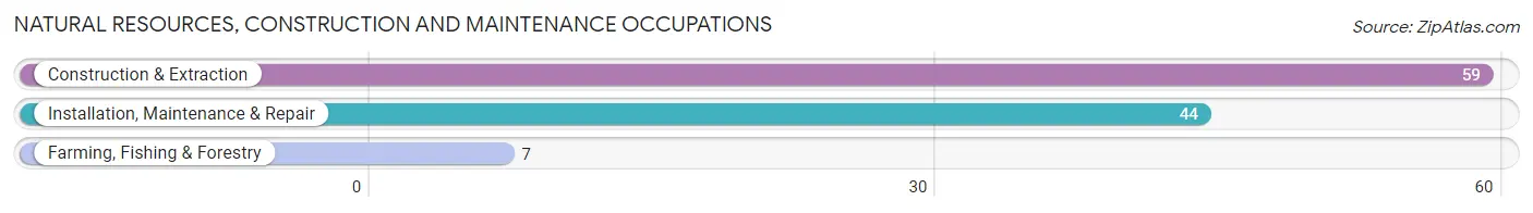 Natural Resources, Construction and Maintenance Occupations in Zip Code 44864