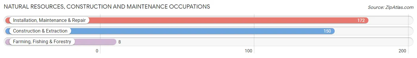 Natural Resources, Construction and Maintenance Occupations in Zip Code 44875