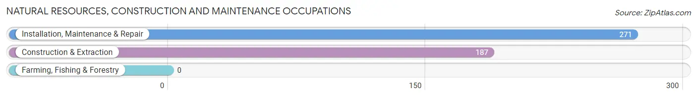Natural Resources, Construction and Maintenance Occupations in Zip Code 45171