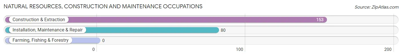 Natural Resources, Construction and Maintenance Occupations in Zip Code 45208