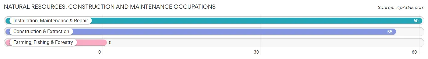 Natural Resources, Construction and Maintenance Occupations in Zip Code 45218