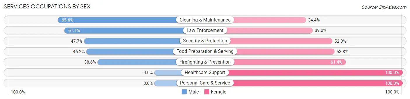 Services Occupations by Sex in Zip Code 45251