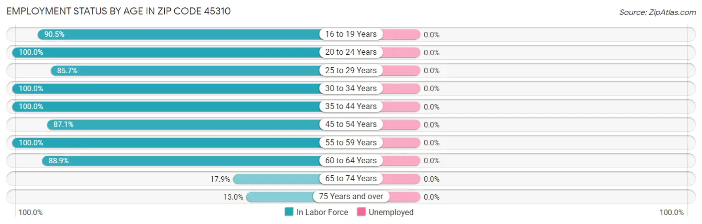 Employment Status by Age in Zip Code 45310