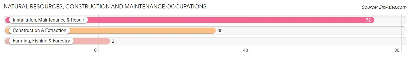 Natural Resources, Construction and Maintenance Occupations in Zip Code 45325