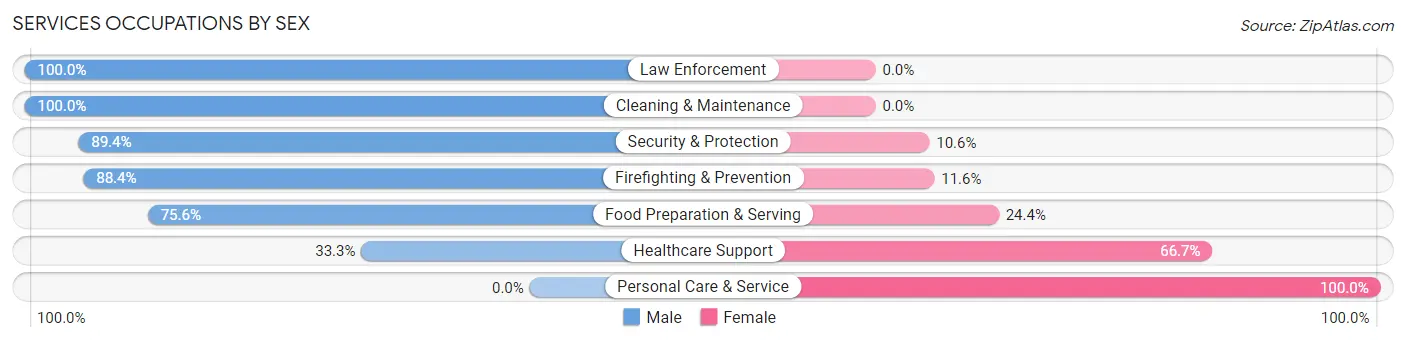 Services Occupations by Sex in Zip Code 45325