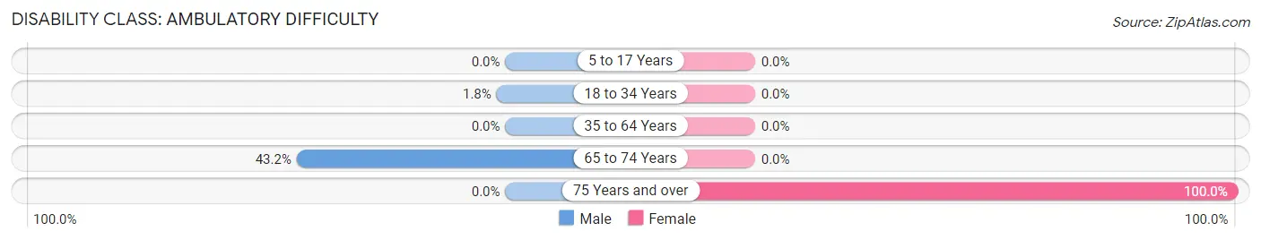 Disability in Zip Code 45333: <span>Ambulatory Difficulty</span>