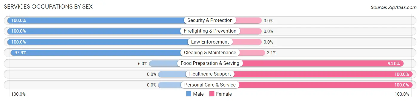 Services Occupations by Sex in Zip Code 45369