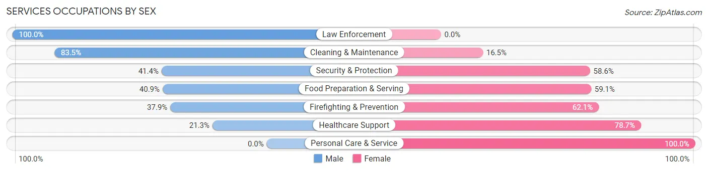 Services Occupations by Sex in Zip Code 45432