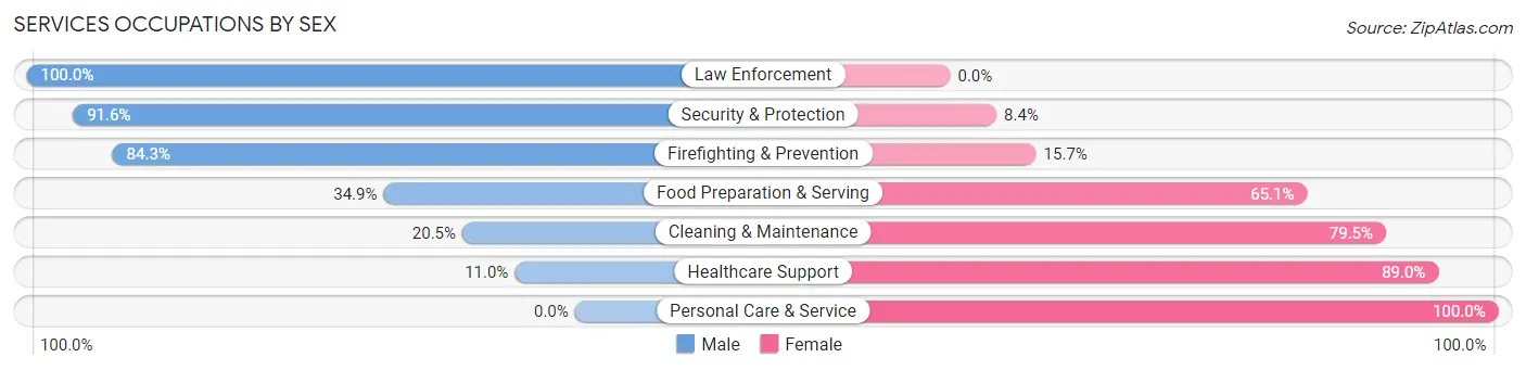 Services Occupations by Sex in Zip Code 45640