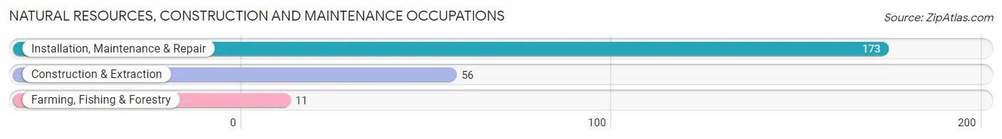 Natural Resources, Construction and Maintenance Occupations in Zip Code 45729