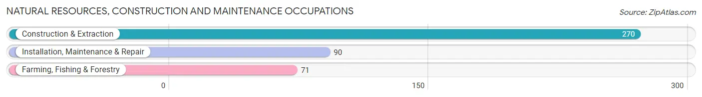 Natural Resources, Construction and Maintenance Occupations in Zip Code 45769