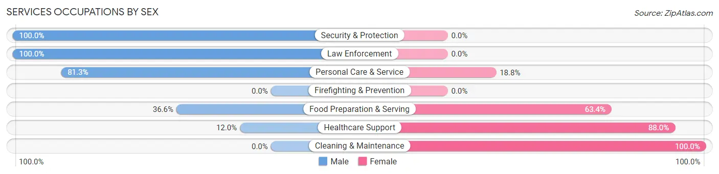 Services Occupations by Sex in Zip Code 45813