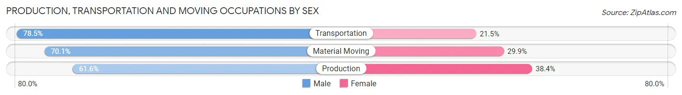 Production, Transportation and Moving Occupations by Sex in Zip Code 45832