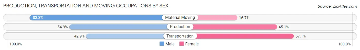 Production, Transportation and Moving Occupations by Sex in Zip Code 45841
