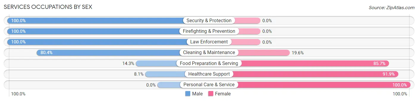 Services Occupations by Sex in Zip Code 45844