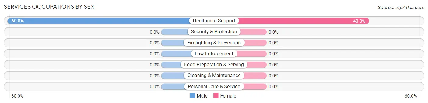 Services Occupations by Sex in Zip Code 45848