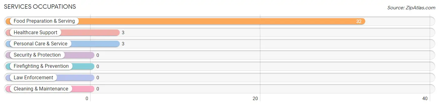 Services Occupations in Zip Code 45851