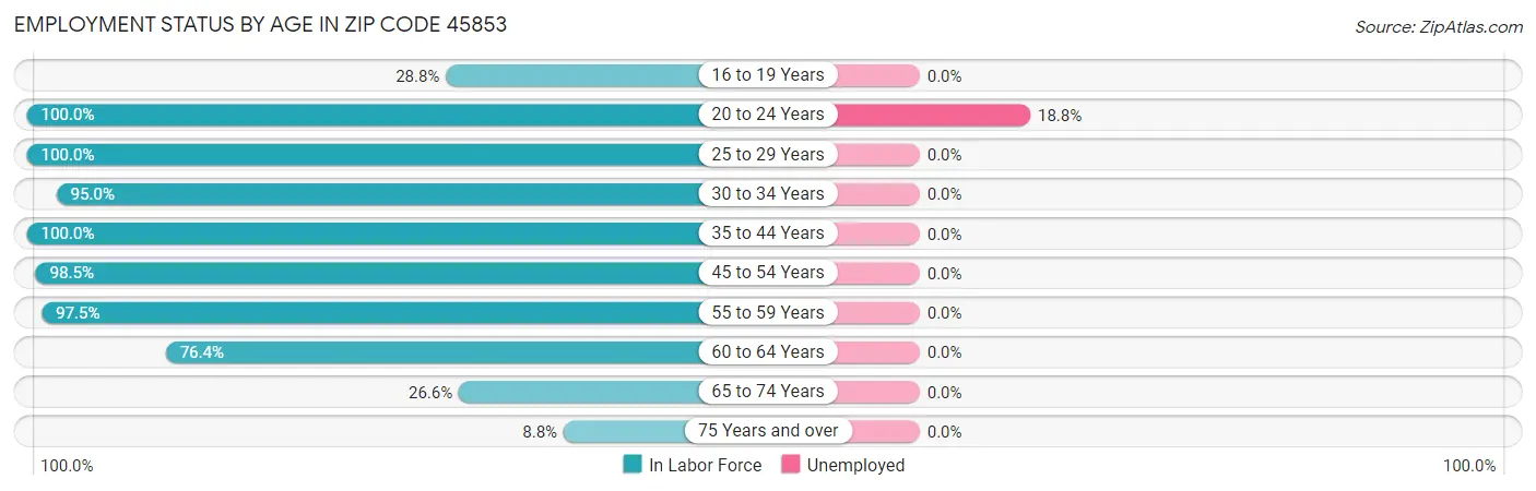 Employment Status by Age in Zip Code 45853
