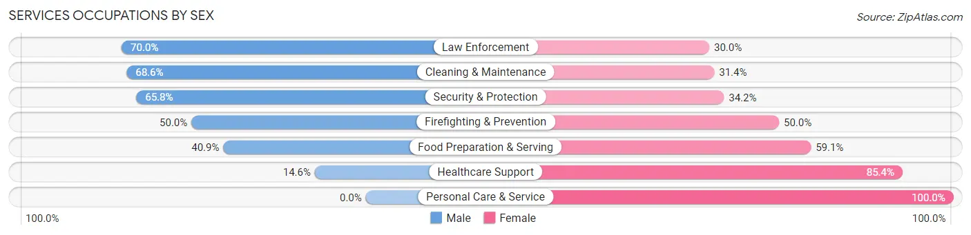Services Occupations by Sex in Zip Code 45856