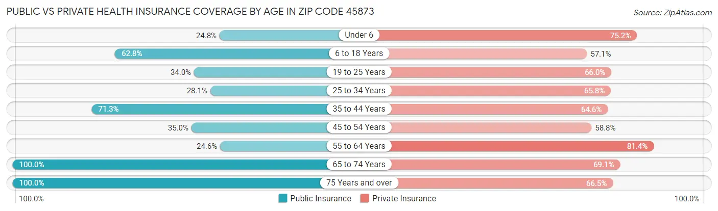 Public vs Private Health Insurance Coverage by Age in Zip Code 45873