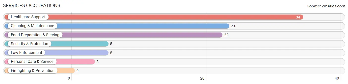 Services Occupations in Zip Code 45876