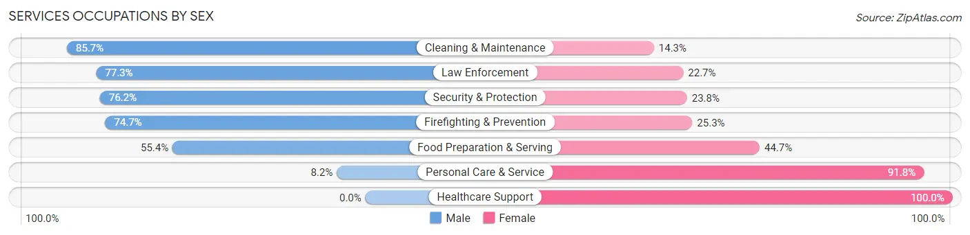 Services Occupations by Sex in Zip Code 45895
