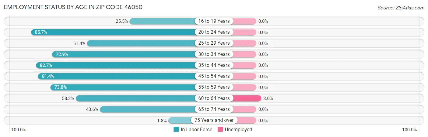 Employment Status by Age in Zip Code 46050