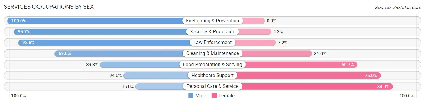 Services Occupations by Sex in Zip Code 46060