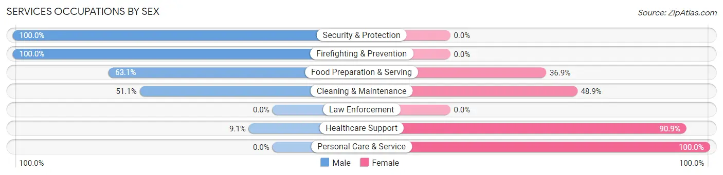 Services Occupations by Sex in Zip Code 46070