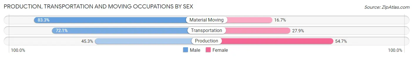 Production, Transportation and Moving Occupations by Sex in Zip Code 46133