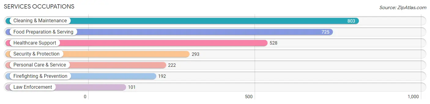 Services Occupations in Zip Code 46312