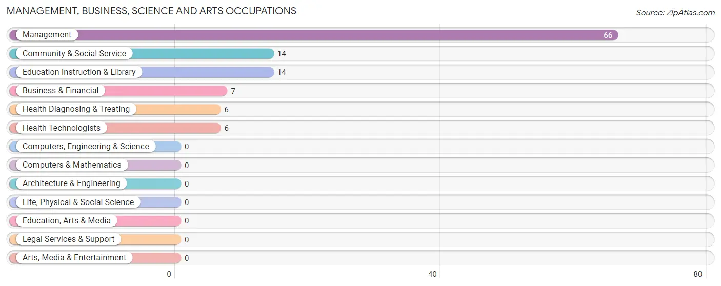 Management, Business, Science and Arts Occupations in Zip Code 46340