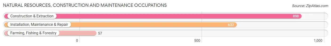 Natural Resources, Construction and Maintenance Occupations in Zip Code 46356