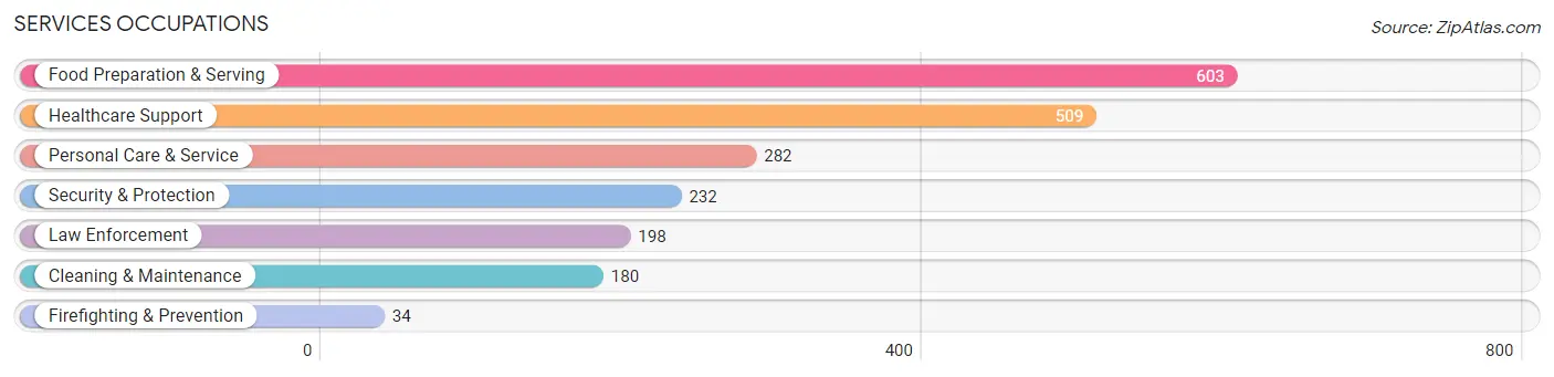 Services Occupations in Zip Code 46375