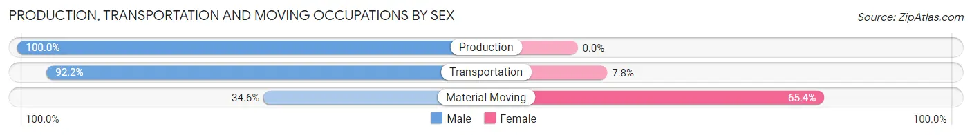 Production, Transportation and Moving Occupations by Sex in Zip Code 46382